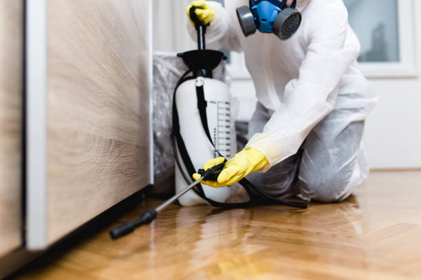 Best Bed Bug Extermination  in Poplar Bluff, MO