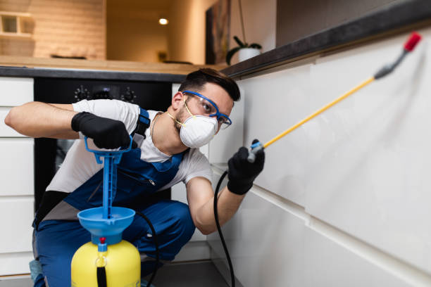 Best Pest Control for Homes  in Poplar Bluff, MO