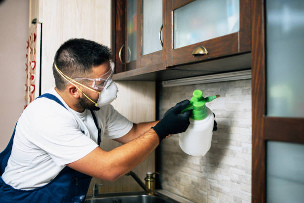 Best Pest Prevention Services  in Poplar Bluff, MO