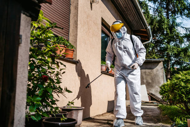 Professional Pest Control in Poplar Bluff, MO