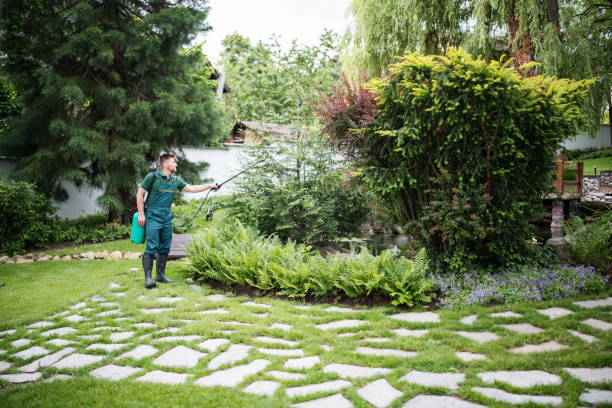 Professional Pest Control in Poplar Bluff, MO