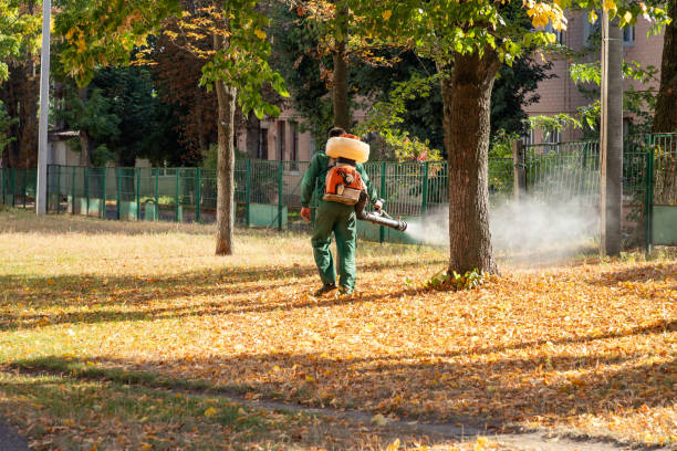 Best Affordable Pest Control Services  in Poplar Bluff, MO