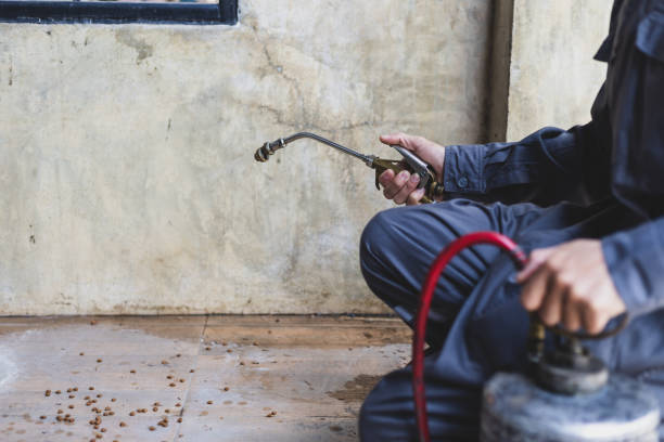 Best Best Pest Control Companies  in Poplar Bluff, MO
